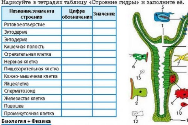 Кракен не работает тор