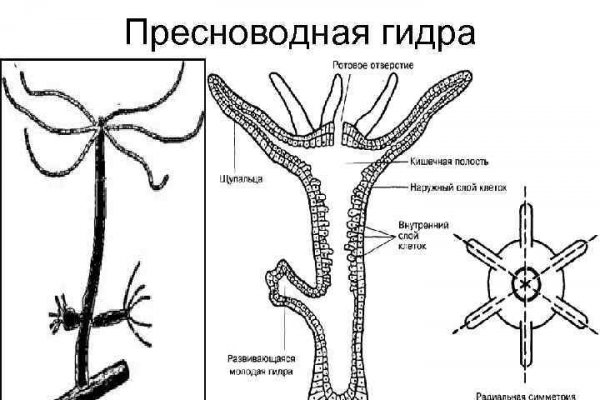 Сайт по продаже наркотиков