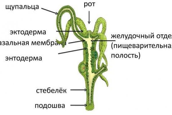 Сайт кракен kraken