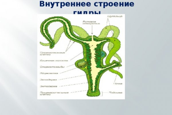 Кракен интернет площадка