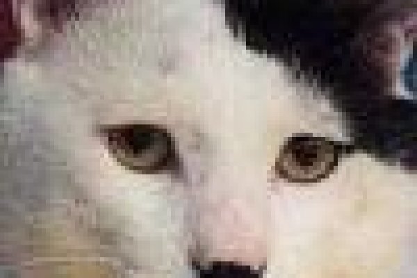 Что значит забанены на блэкспрут