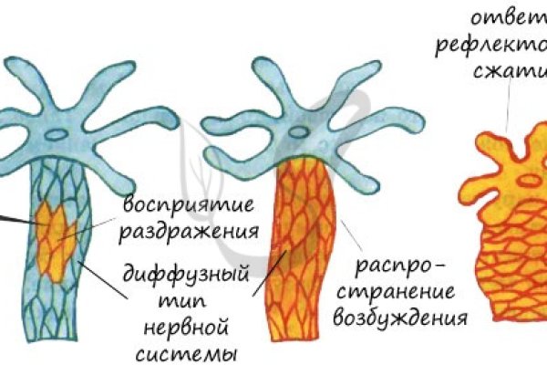 Ссылки онион